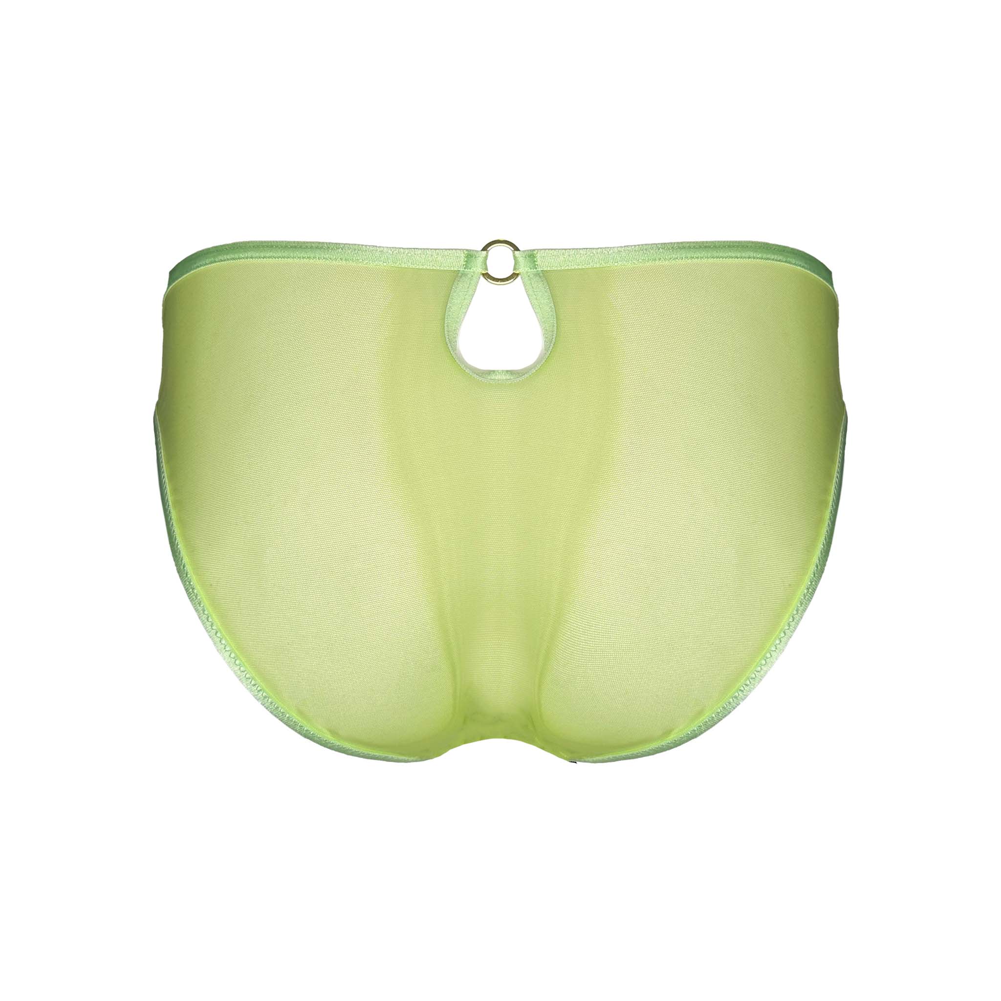 SOMEWHERE NEVER | GREEN ITALIAN SHEER MESH BRIEF BACK 