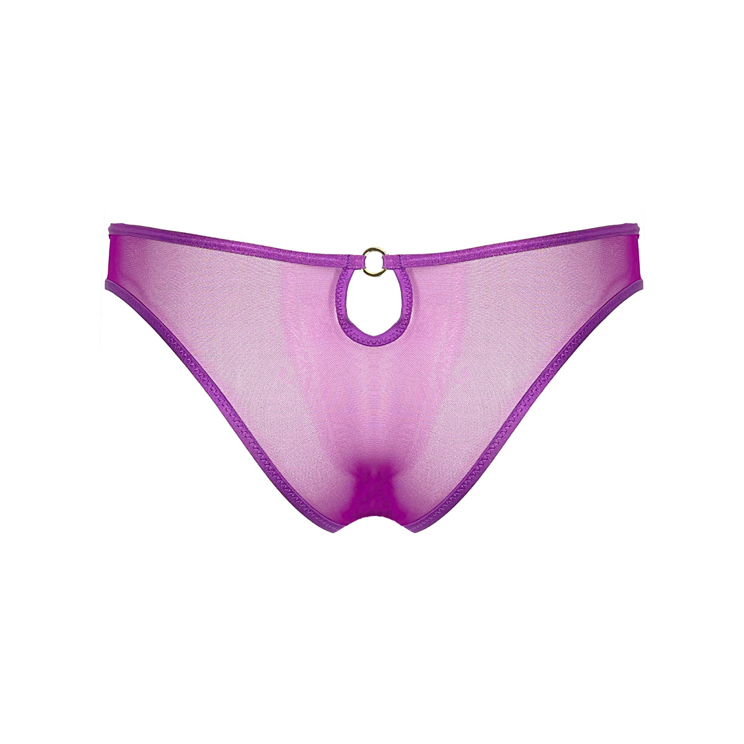 BACK VIEW OF PURPLE SHEER MESH CHEEKY BRAZILIAN PANTIES