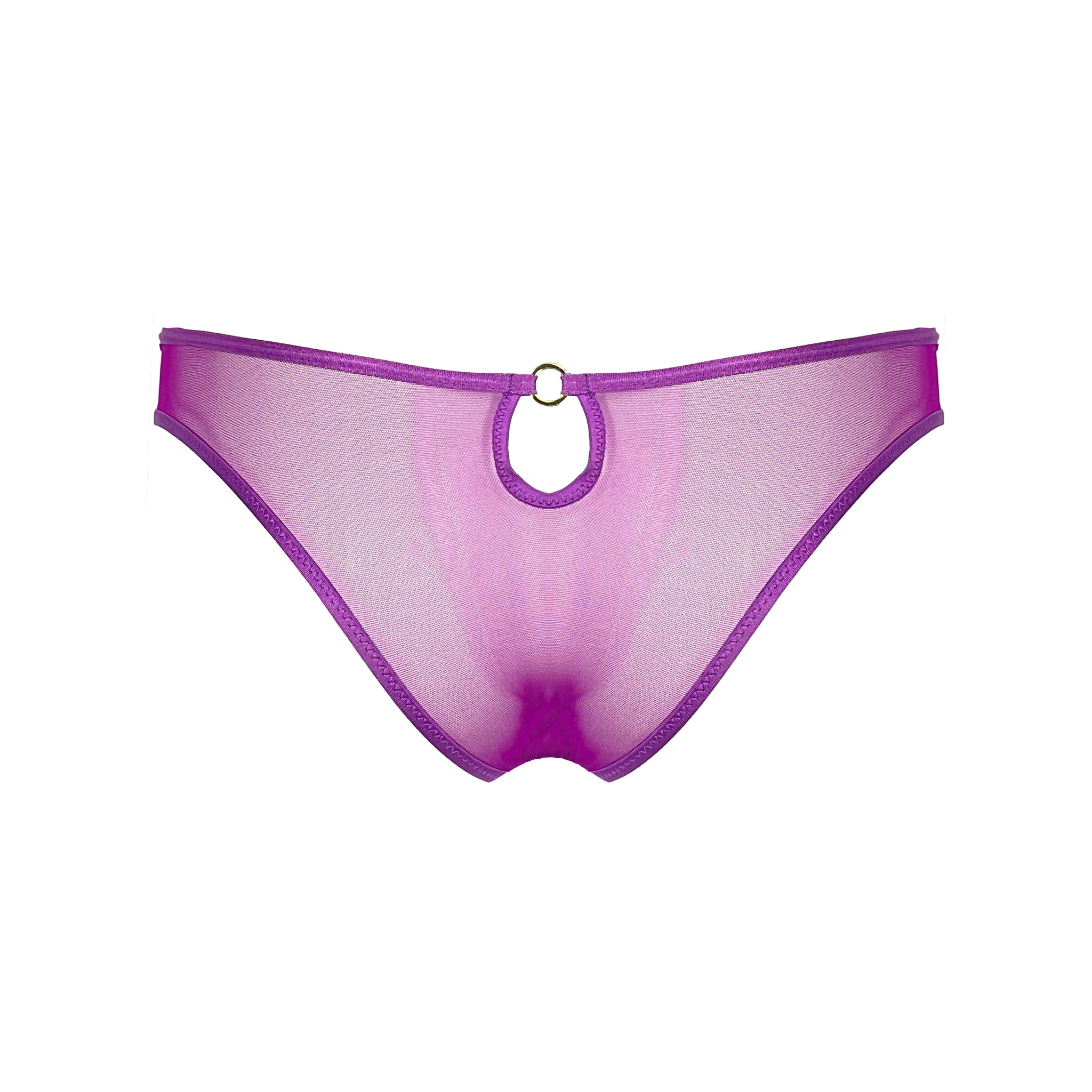 BACK VIEW OF PURPLE SHEER MESH CHEEKY BRAZILIAN PANTIES